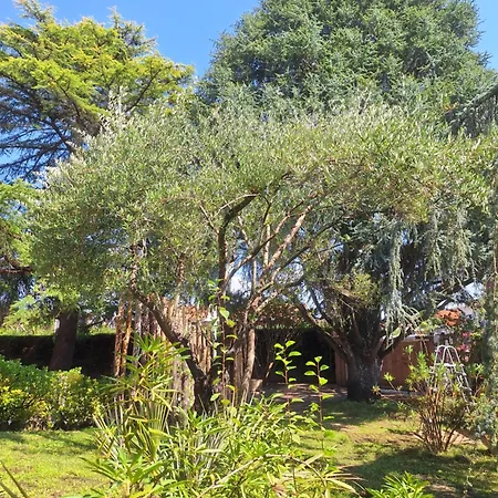 La Tourelle, Demeure De Charme, Piscine, Billard, Grand Jardin